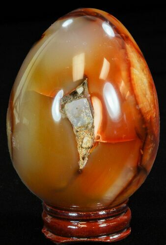 Colorful Carnelian Agate Egg #41191